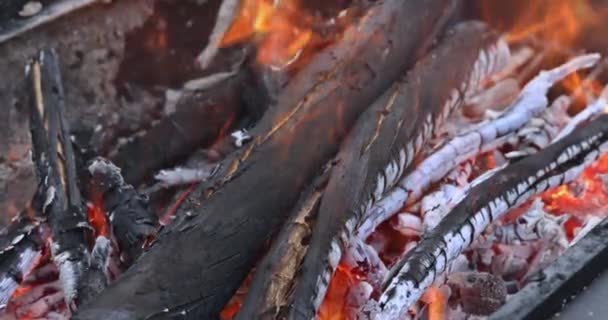 Brûlage Bois Chauffage Fin Feu Camp Avant Cuisson Barbecue — Video