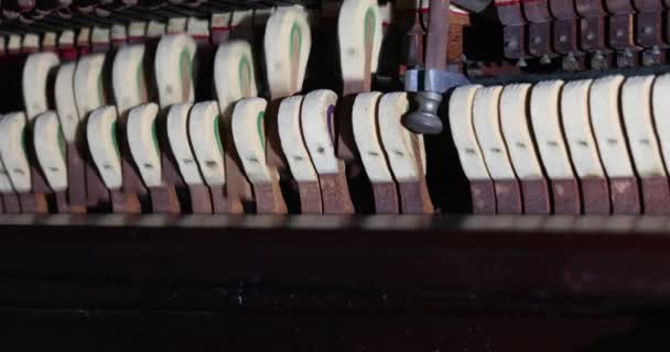 Siapkan Palu Piano Untuk Memperbaiki Mekanisme Gavel Piano Dengan Bantuan — Stok Video