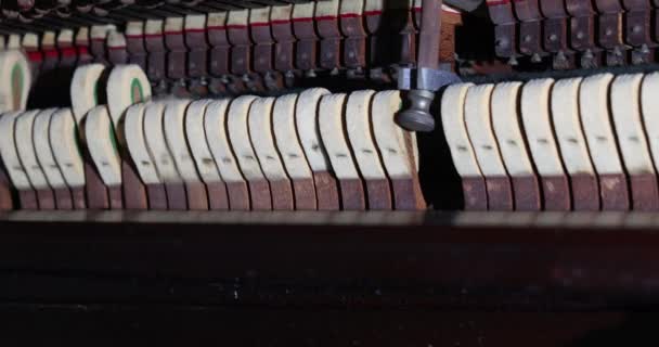 让钢琴锤准备好与专业技术人员一起修理钢琴机架 — 图库视频影像