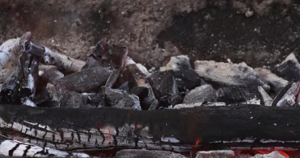 Brace Cenere Del Falò Dopo Fuoco Bruciato Legna Ardere Utilizzata — Video Stock