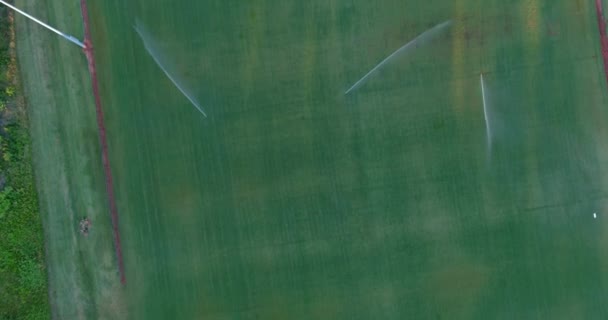 Автоматическая Система Полива Газонного Разбрызгивателя Полива Зеленой Травы Футбольное Поле — стоковое видео
