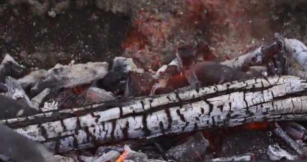 Cinzas Preparação Lenha Para Cozinhar Churrasco Churrasqueira Depois Que Fogo — Vídeo de Stock