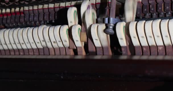 Ετοιμαστείτε Επισκευάσετε Σφυρί Οργάνων Πιάνου Επαγγελματικό Τεχνικό Επισκευαστικό Σφυρί — Αρχείο Βίντεο