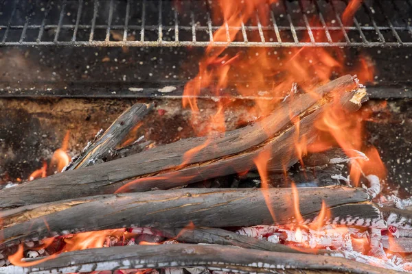 在烧烤烤架的烤架上 篝火把准备烧烤的柴火烧成灰烬后 炉火的余灰就被留了下来 — 图库照片