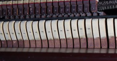 Profesyonel piyano teknisyeniyle, tokmak piyano mekanizmasını onarmaya hazırlanın..