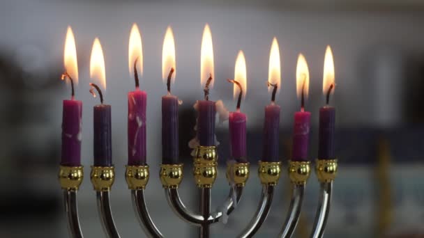 Hanukkah与Hanukkiah Menorah相对照的蜡烛模糊了背景灯的焦距 — 图库视频影像