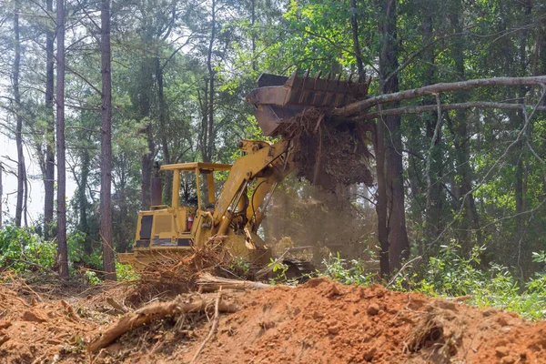 Preparación Tierra Trabajo Tractores Con Durante Deforestación Paisajismo Obras Eliminación —  Fotos de Stock