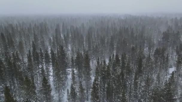 Snöig Dag Utsikt Över Snöklädda Fjällskog West Yellowstone Sortiment Montana — Stockvideo