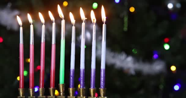ユダヤ教の伝統家族の宗教的な休日のシンボルユダヤ教のハヌカお祝い照明ハヌカMenorah — ストック動画