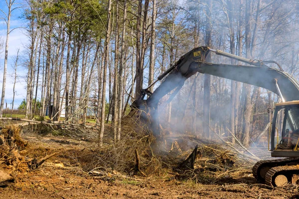 생태계에 재앙을 초래하고 단지에 나무를 나무들을 태우기 필요가 있습니다 — 스톡 사진
