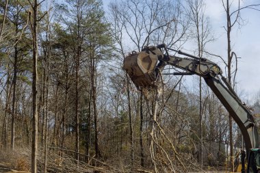Ağaçları söken ve parktaki traktörün dallarını kıran güçlü kasırganın ardından hasar gören dalları kaldırır.
