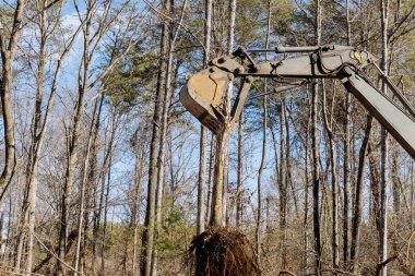 Konut gelişiminin alt bölümü için traktör kayma dümenleri inşaat alanından sökülmüş ağaçları temizlemek için kullanıldı.