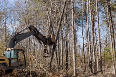 During construction process, tractor skid steers were used to clear land from uprooted trees prepare for subdivision housing development. clipart