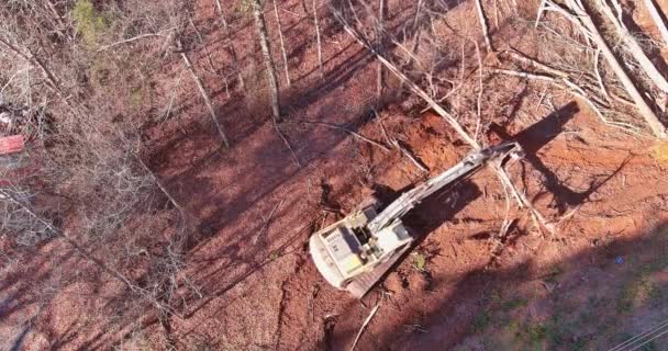 Desarraigar Árboles Preparar Terreno Para Construcción Requiere Uso Tractores — Vídeos de Stock