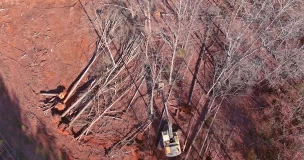 Будівельному Майданчику Очищення Викопаних Дерев Від Землі Використовували Санітарні Керма — стокове відео