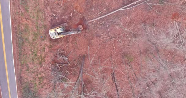 Будівельному Майданчику Трактори Використовуються Очищення Викопаних Дерев Від Земель Ділянки — стокове відео