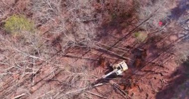 İnşaat alanındaki ağaçlar traktör kızak direksiyonlarını kullanarak konut geliştirme çalışmalarına hazırlanmak için gerekliydi.