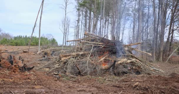 Сжигание Древесных Лесов Выкорчеванных Процессе Подготовки Земельных Участков Строительства Новых — стоковое видео