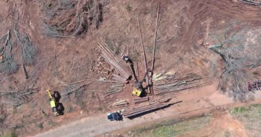 Using crane to load logs from a newly felled tree being to large truck for transport