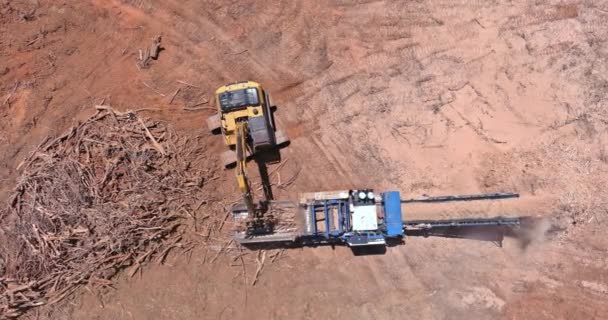 Araziyi Konut Geliştirmeye Hazırlamak Amacıyla Büyük Endüstriyel Parçalayıcı Makinesi Inşaat — Stok video