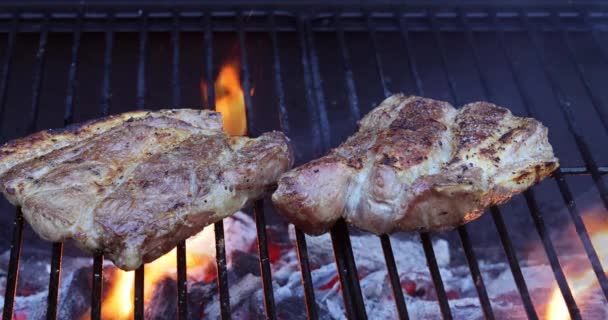 Oheň Kouř Grilování Lahodné Šťavnaté Vepřové Steaky Stylu Grilování — Stock video