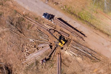 Yeni kesilmiş kereste vinç operatörü kütükleri büyük nakliye kamyonuna yüklüyor