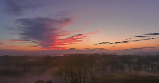 Evening Fog South Carolina Forest Mountains Framed Glorious Sunset — Vídeo de stock