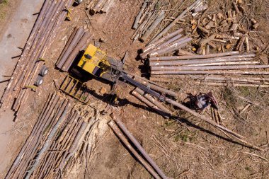 Using crane to load logs from a newly felled tree being to large truck for transport