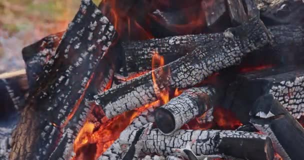 Yakıldıktan Sonra Şenlik Ateşinin Külleri Yakılacak Odun Barbekü Izgarası Için — Stok video
