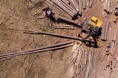 Ağaç vinç yükleme kütükleri bir operatör onlar düştükten sonra büyük bir nakliye kamyonuna taşınacak