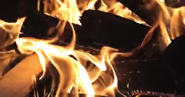 Large Bonfire Flames Wood Fire Engulfed Log Embers Burning — Video Stock