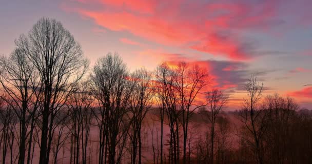 South Carolina Sunset Seen Forest Mountains Heavy Evening Fog — 비디오
