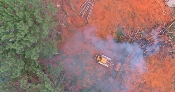 Nşaat Alanında Yeni Evler Inşa Etmek Için Kökleri Sökülmüş Ormanı — Stok video