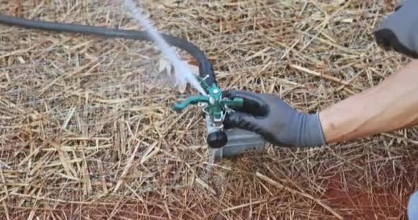 Installation Und Bewässerung Von Rasensprengern Durch Einen Professionellen Techniker Ist — Stockvideo