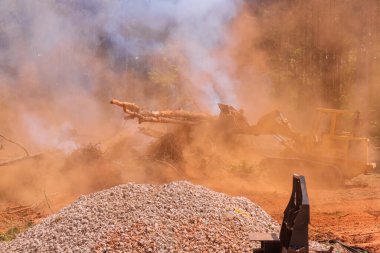 Konut geliştirme çalışmalarının devamı için ormandaki ağaçları kesmek.