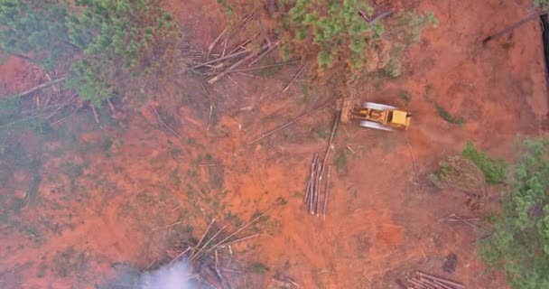 Construction House Uprooted Forest Burned Construction House Help Build Structure — Stok video