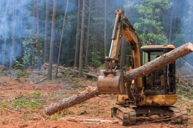 As part of deforestation process tractor manipulator lifts logs from trees and uproots them to prepare land to be used for housing construction.
