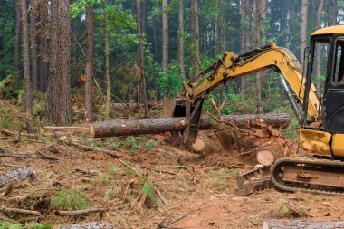 It is an uprooting trees using tractor manipulator then lifting logs to prepare land for construction of housing development.