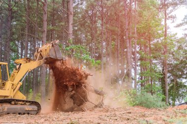 In order prepare ground for subdivision development, tractor skid steers were used to uproot trees that were growing way during construction