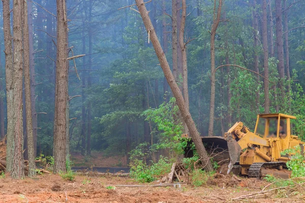 Tractor Skid Steer Used Construction Process Order Remove Uprooted Trees — Foto Stock