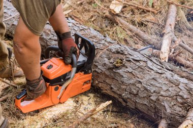 In process of cutting down trees an employee is using chainsaw to cut trees this resulted in destruction forest as result of activity.