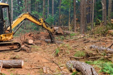 During deforestation process tractor manipulator operates to uproot trees lift logs prepare land for housing construction construction.