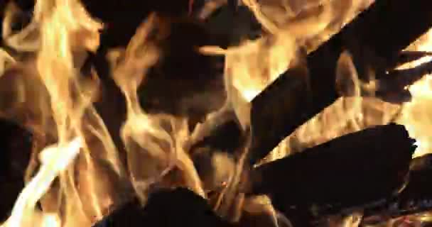 Large Bonfire Surrounded Embers Burning Wood Fire Filled Flames — Video