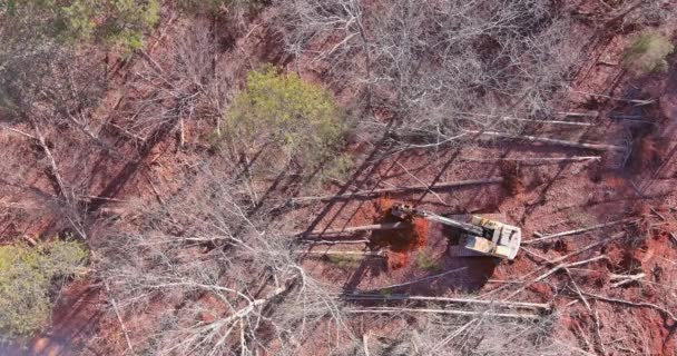 Ağaçlar Sökülür Arazi Traktör Kullanılarak Inşaata Hazırlanır — Stok video