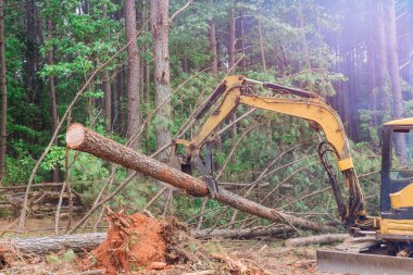 Ağaçları söken traktör manipülatörleri kullanılarak ormanların tahrip edilmesi, ağaç kütüklerinin sökülerek konut inşaatına hazırlanması sağlandı..
