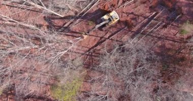 Araziyi inşaata hazırlamak için traktörü kökleri sökmek için kullanıyorlar.