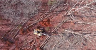 There is process where trees are uprooted using tractor in order to prepare land for construction