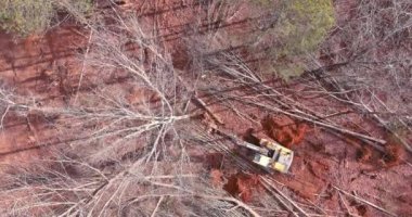 Tractor is used as tool to uproot trees so that the land can be prepared for building construction