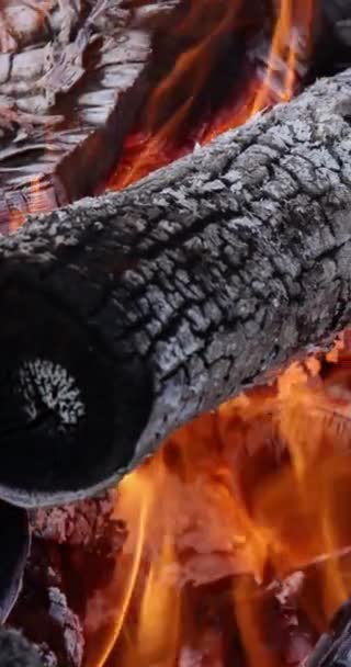 Large Bonfire Surrounded Embers Burning Wood Fire Filled Flames — Stock video