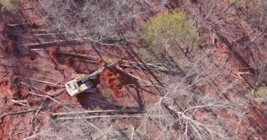 With help of tractor trees are uprooted from ground preparing land for construction process